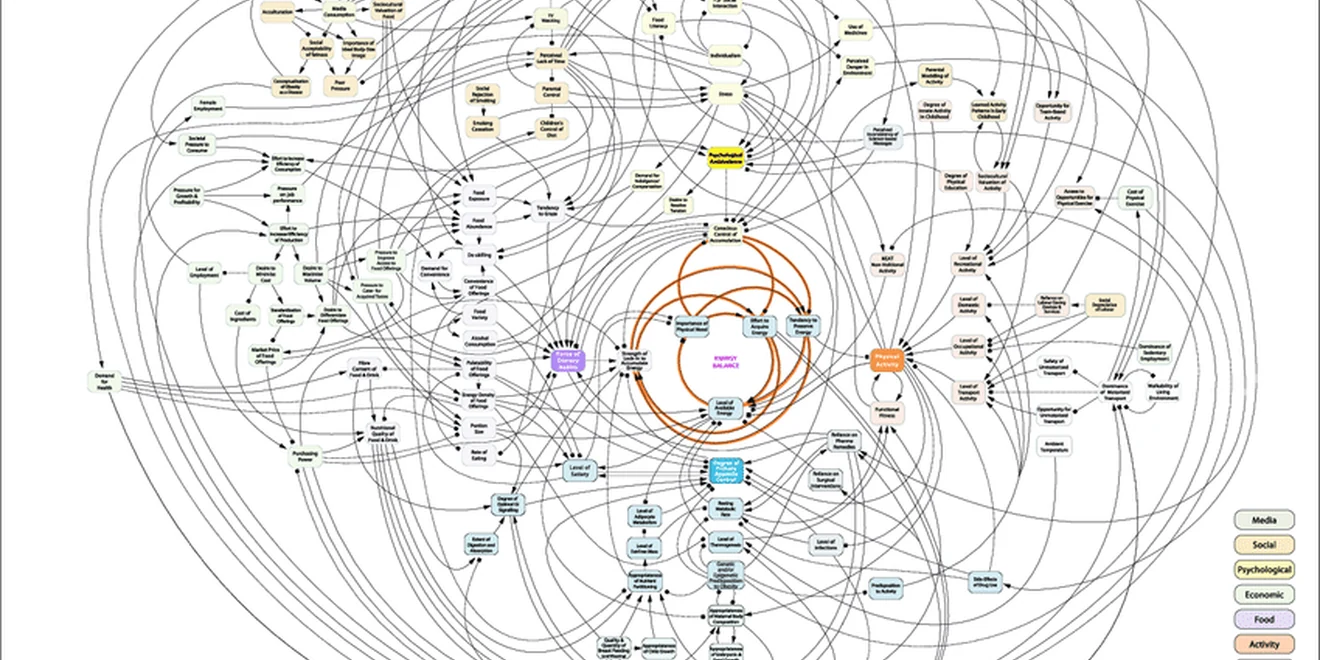 A knowledge graph in GreyCat: entities linked by their relationships